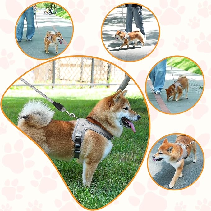 Dog Harness and Leash Set, No Pull Saddle Style Pet Harness, Breathable Mesh Adjustable Reflective Dog Vest for Dogs and Cat Medium Small Harness 2 D-Rings (Grey, S)