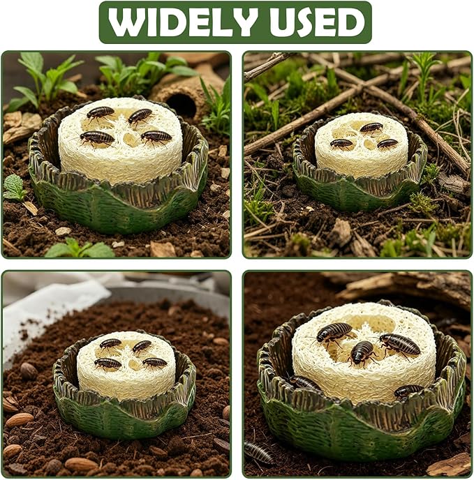 Cockroach Water Basin & 3 Loofah Set, Dubia Roaches Live Habitat Reptile Container Supplies for Terrariums & Enclosures, Comfortable Habitat for Roaches Live, Isopods, Springtails, Crickets