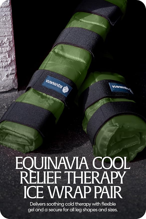 Equinavia Cool Relief Therapy Ice Boots Leg Wraps Pair for Horses, Gel Pack with Adjustable Straps | 16.5" x 15.5" with Storage Bag - Green - Pair - One Size