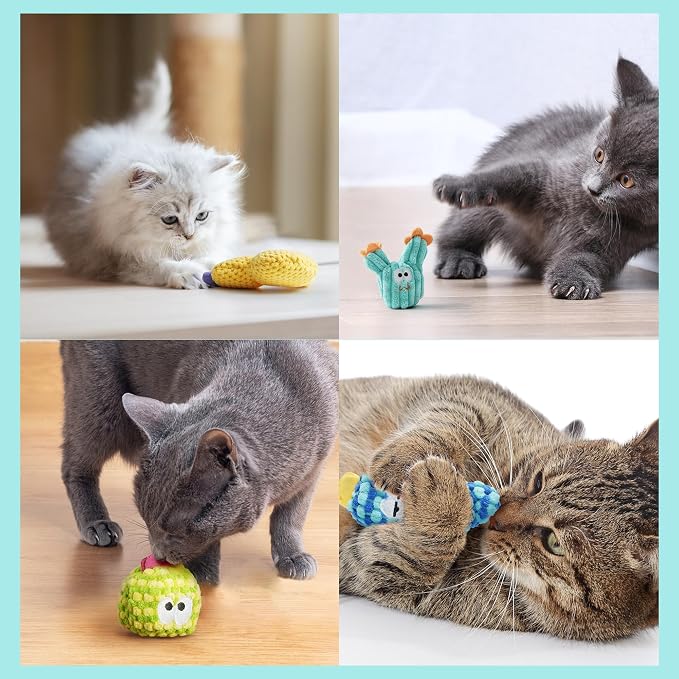 5 Pack Cactus Catnip Toys, 100% Organic Catnip Toys for Indoor Cats, Interactive Plush Chew Fun Without Cotton, Teething Soft Kittens Toys for Kitty, Colorful - Image 7