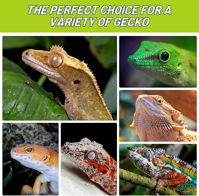 Crested Gecko Food Insect Puree, Banana Paste Reptile Food Made with Fresh Insects Gecko Food Complete Diet 2.82oz