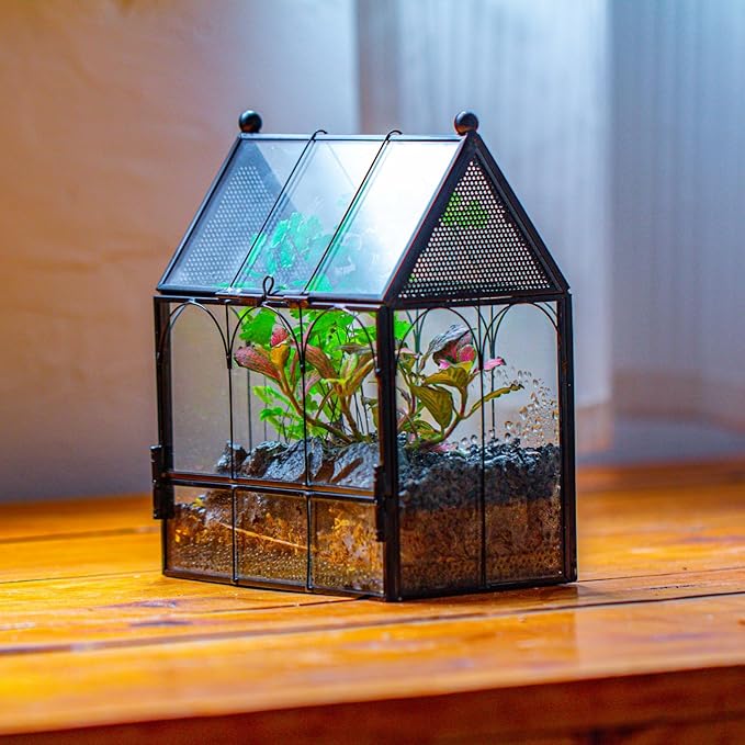 NCYP Small Glass Terrarium Enclosure with Mesh for Jumping Spiders, Micro House Shaped Small Spiders Vented Glass Terrarium, Home Decor Black, 5.8" x 3.8" x 7" (No Plants)