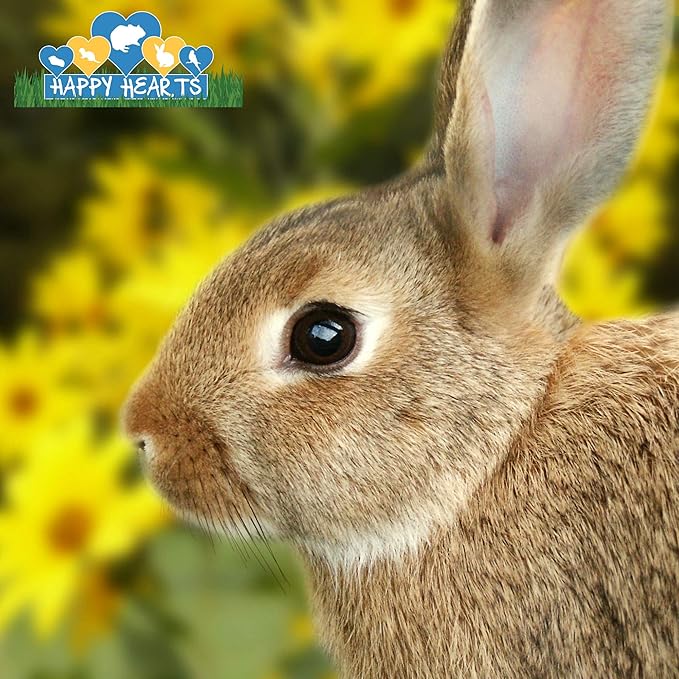 CountryMax Happy Hearts Total Blend Rabbit Food (10 Pounds)