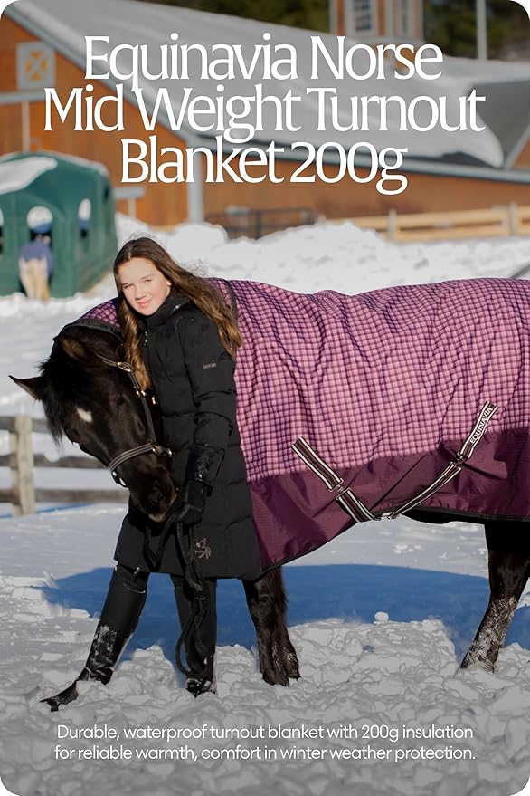 Equinavia Norse 200g Medium Weight Horse Blanket | Waterproof Winter Turnout - Black - 66 in - Plum Wine/Orchid Haze - 81 in