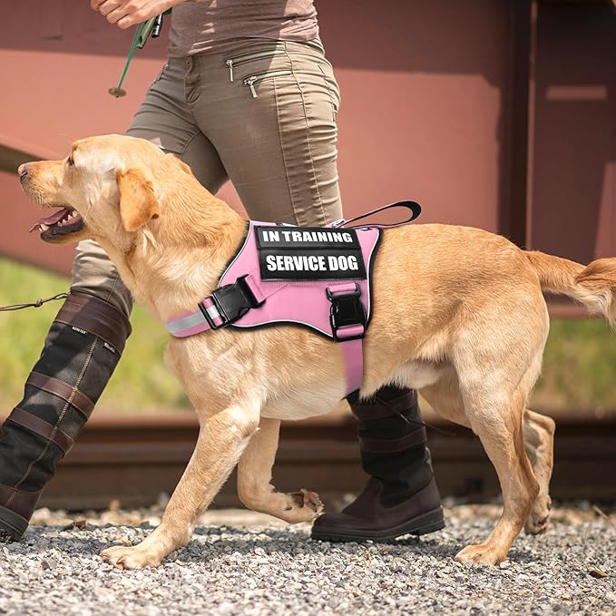 Service Dog Vest Harness and Leash Set+10 Patches,No Pull&Easy Walk Reflective Dog Harness with Soft Padded Handle for Training/Everyday,Fit Small/Medium/Large/Extra-Large Dogs (Pink XL)