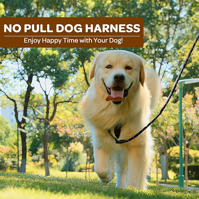 FURRYFECTION Plaid Dog Harness for Small Dogs, Reflective No Pull Adjustable Pet Vest with Front Clip, Leash, Easy Control Handle and Seat Belt, Beige&White, S