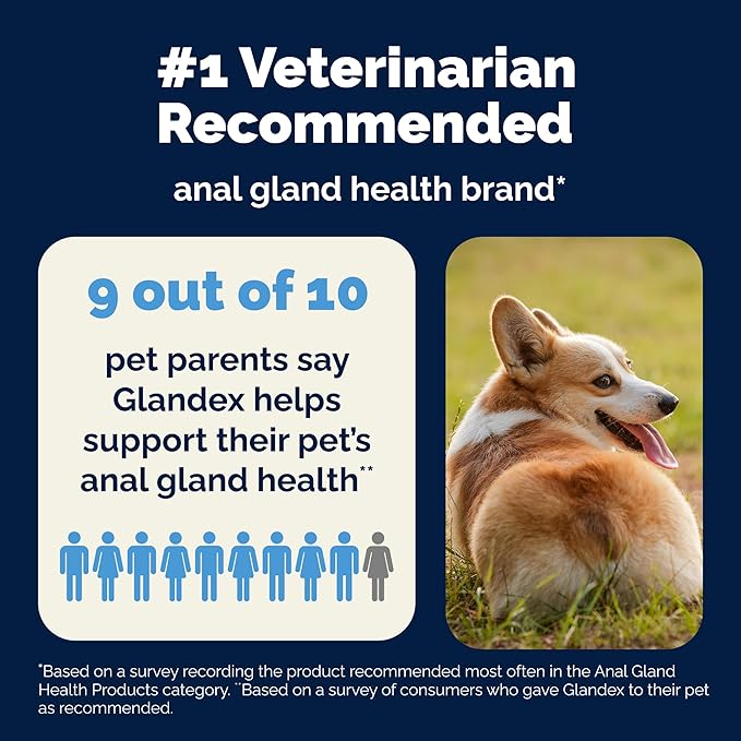 Vetnique Glandex Daily Probiotics for Dogs with Prebiotics to Support Gut Health, Diarrhea with Fiber and Digestive Enzymes, Dog Probiotic Chews or Powders (120ct Chews, Bacon Chews)