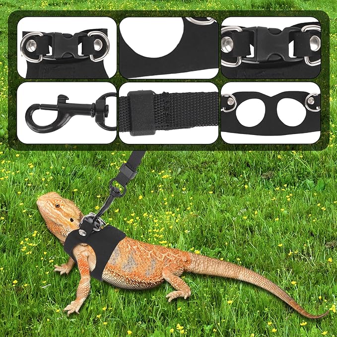 Bearded Dragon Leash and Harness Set, Reptile Walking Accessories Outdoor Safety Equipment for Small Pet Lizards Geckos and Chameleons