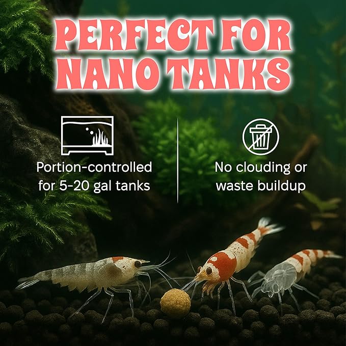 Snout and Shell Bee Pollen Nuggets for Shrimp Tanks – 100% Natural Shrimp Superfood Supplement – Boosts Color, Molting & Breeding – Slow Sinking, Low-Waste Nano Tank Food – 2 oz