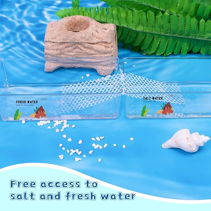 2 Pack Large Hermit Crab Water Tank,Hermit Crab Cage with Climbing Ramps,Hermit Crabs Salt Water Pool for Small or Medium Hermit Crabs Climbing Toys (2Pack Large)