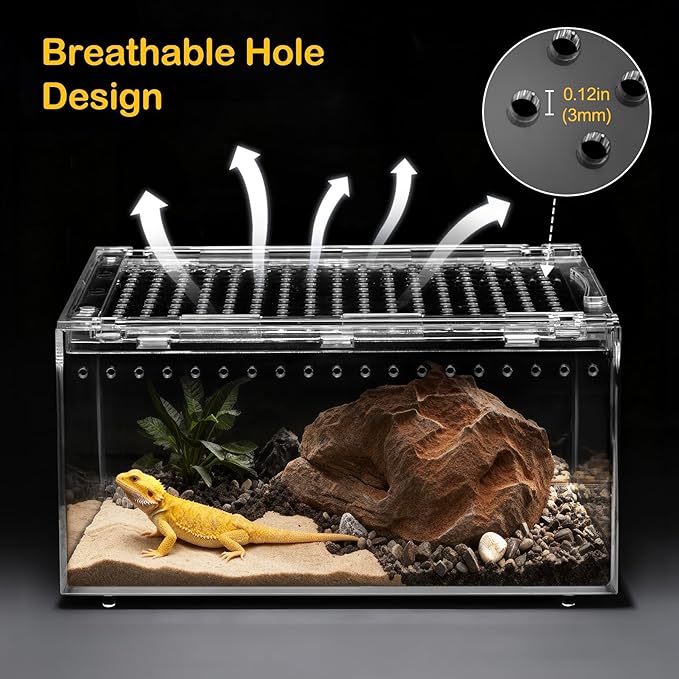 Small Reptile Terrarium Kit,Escape Proof Tarantula Enclosure,PC Starter Hermit Crab Tank,Spider Habitat for Praying Mantis Cage,Frog Vivarium,Insect House,Jumping Spider Cribs,Lizard Container
