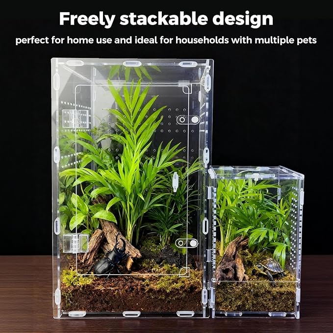 Acrylic Spider Enclosures, Insect Breeding Boxes, Insect Enclosures, Scorpion Habitats, Small Lizard and Frog Enclosures