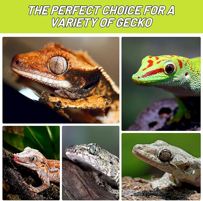 Crested Gecko Food, Fruit Mix Banana Complete Diet Gecko Food 2oz