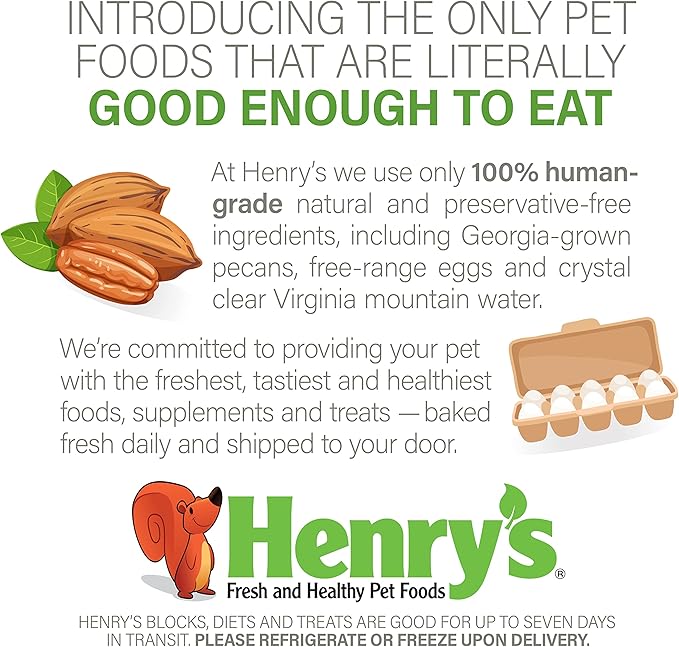 Henry's Walnut Blocks - Nutritionally Complete Food for Squirrels, Flying Squirrels, and Chipmunks, 11 Ounces