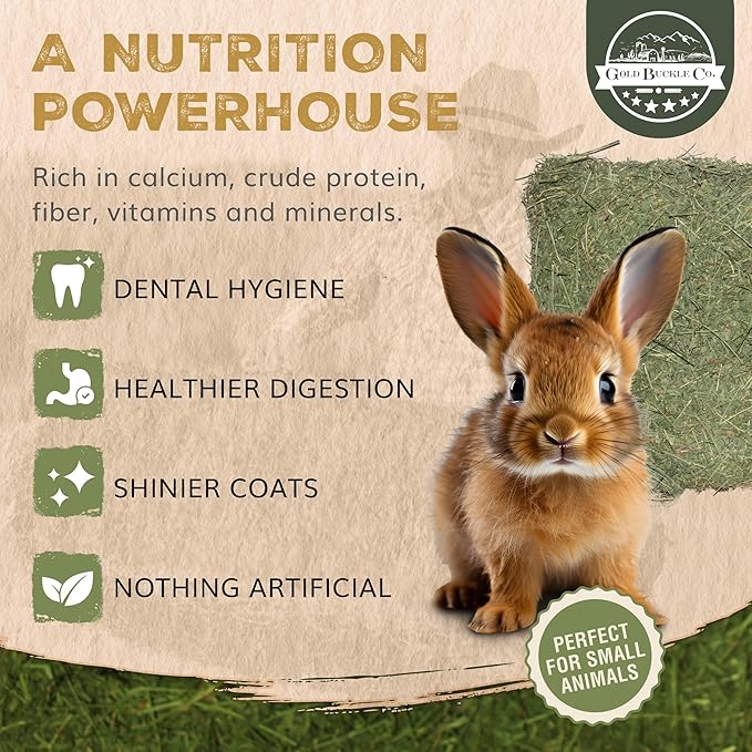 9lb Farm Fresh Alfalfa Hay for Rabbits, Guinea Pigs, Chinchillas, Goats, Hamsters & Ferrets - Organic Small Animal Food Rich in Protein & Fiber - Fresh Dried, Hand-Selected, USA Grown