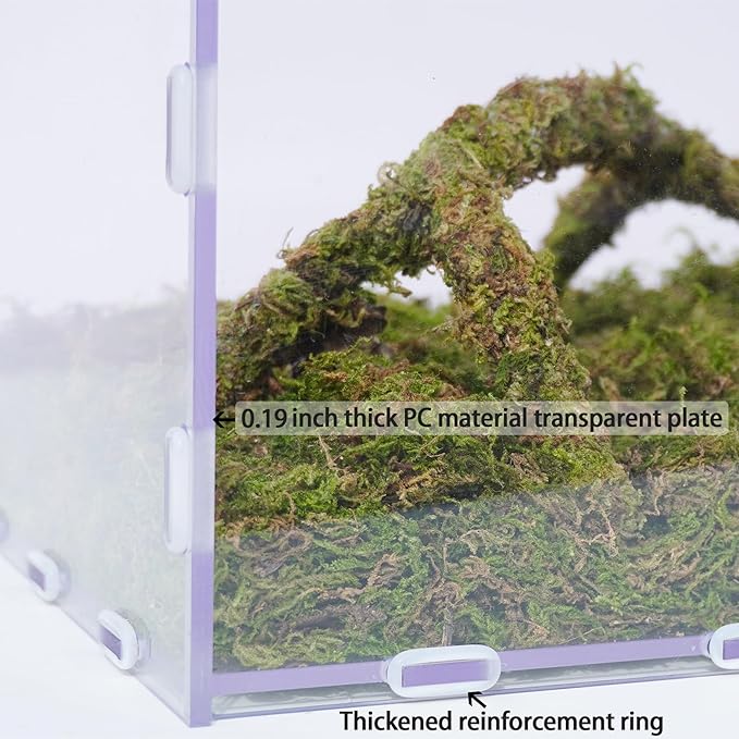 10 Gallon Hermit Crab Tank Kit, Include 20.47 inch x 10.83 inch x 12.4 inch Tank,3.5oz Moss, 2xToys, Creating the Perfect Habitat for Your Cute