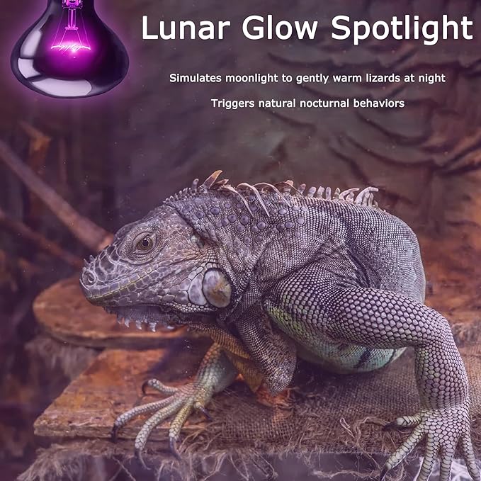 HARTOMPET 60W Reptile Night Light Bulb - Simulated Moonlight & Purple Heat Lamp for Reptiles
