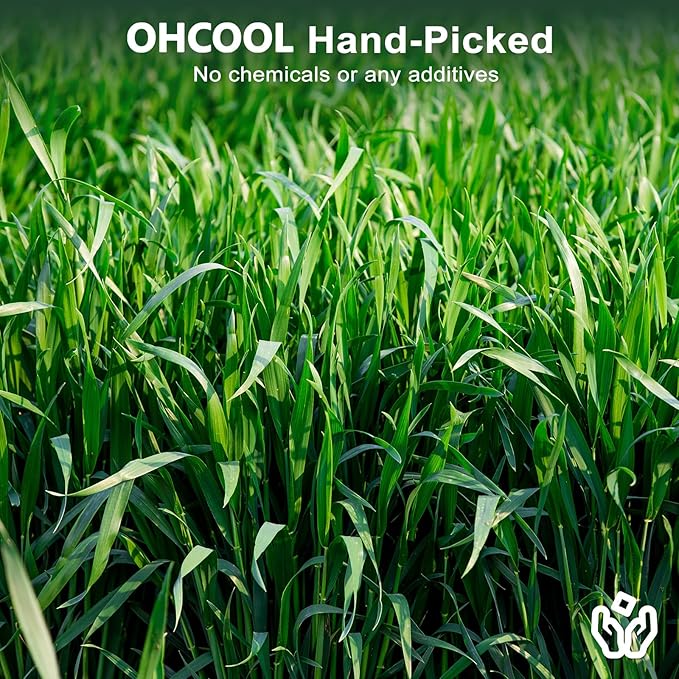 Premium Oat Hay for Pets - Dust Free Natural Green Fresh Pet Food Hay for Rabbits, Guinea Pigs, Chinchillas, Hamsters & Gerbils - 2.2lbs (2 packs of 1.1lbs)
