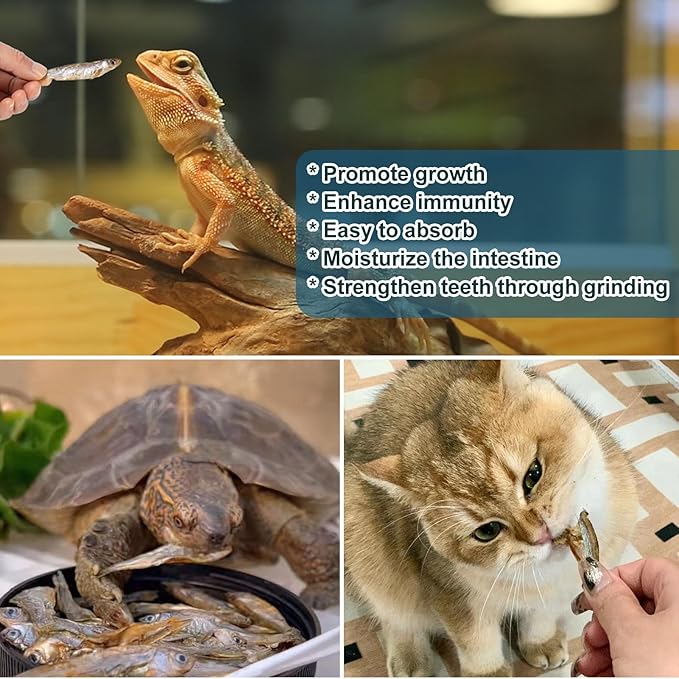 Dried River Fish Minnows - High Protein Natural Food for Turtles, Bearded Dragons, Tropical Fish, Amphibians & Cats (5.5oz)