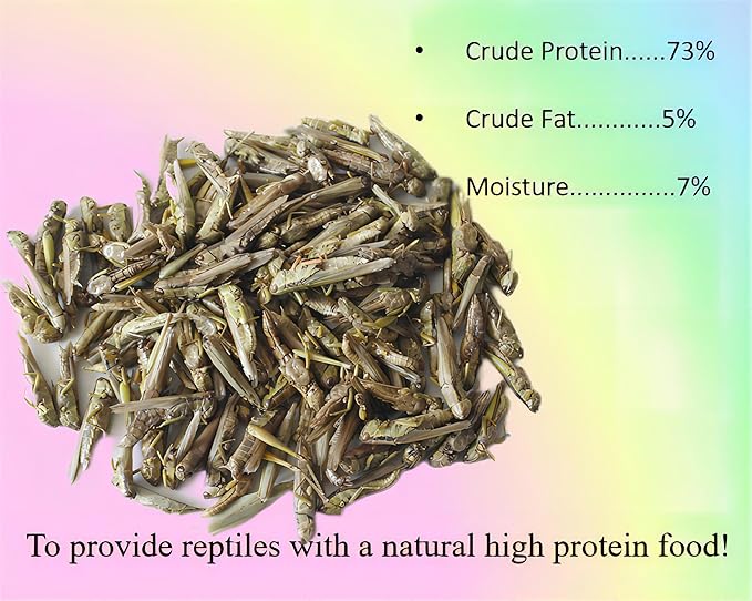 Classic Flock 2oz Freeze-Dried Grasshoppers - Nutritious Reptile & Amphibian Food for High Protein and Essential Amino Acids