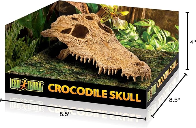 Exo Terra Crocodile Skull Terrarium D