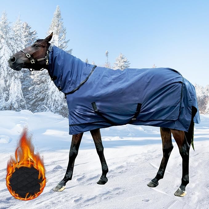 Waterproof Horse Turnout Blanket - Medium Weight Winter Blanket (220g Fill) with Detachable Neck Cover - Blue - 78 in