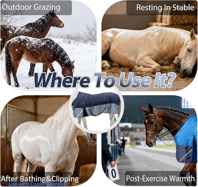 300g Fill 1200D Mid-Heavy Weight Winter Waterproof and Breathable Horse Blanket Belly Straps| Turnout Blankets with Reflective Strips (Black/Gray, 81'')
