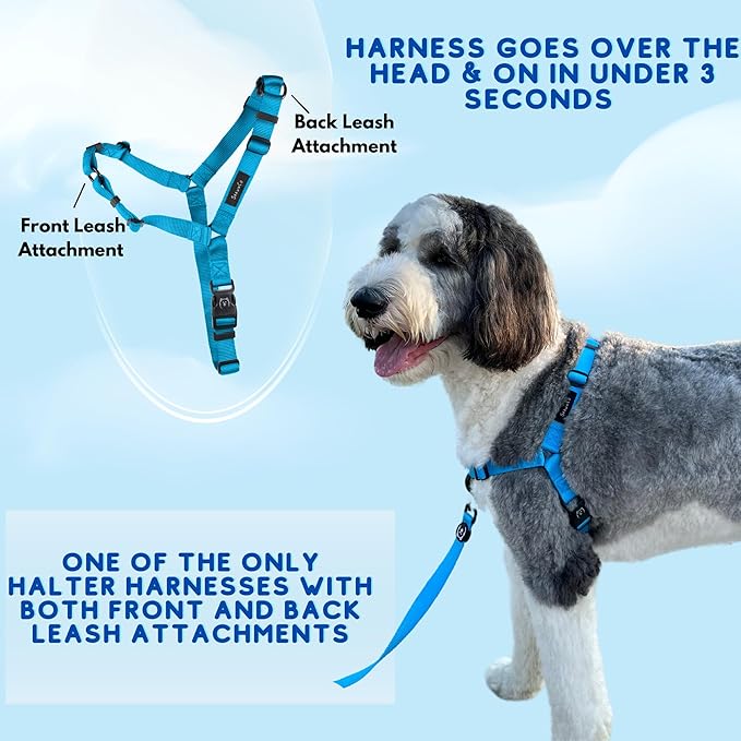 ShawnCo Dream Walk No-Pull Dog Harness- Adjustable, Comfortable, Easy to Use Pet Halter to Help Stop Pulling for Small, Medium and Large Dogs- Art Pattern Designs (Stars and Stripes, M)