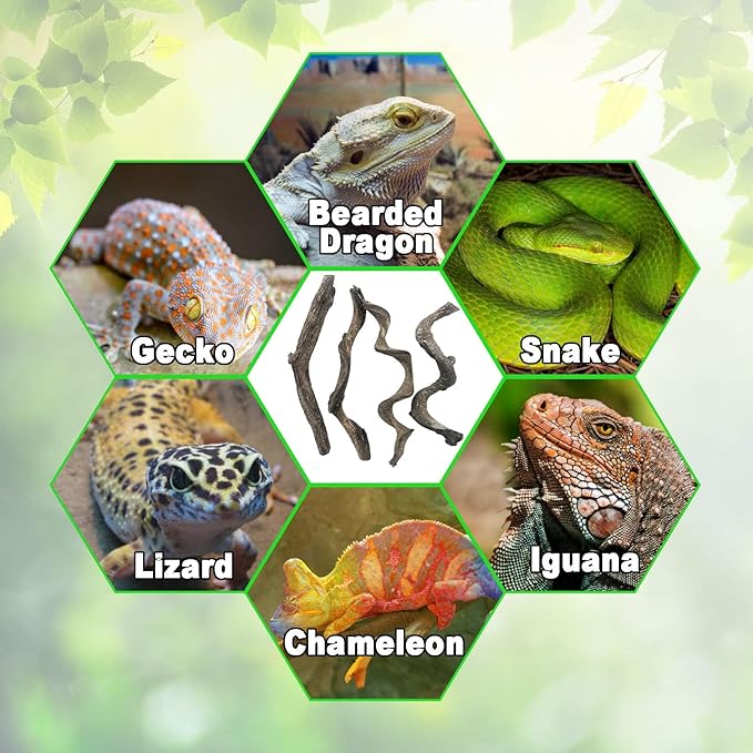 Reptile Decor 4PCS Natural Forest Branch Terrarium Habitat Driftwood Decoration Lizard Climbing Tree Branch for Bearded Dragon Gecko Snake Frog Chameleon Spider