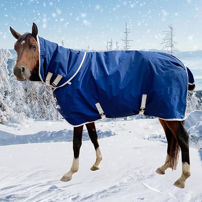 1200D Winter Waterproof Horse Trunout Blanket, 280g Warm Cotton Filling Liner with Turnout Neck Cover Detachable, Medium Weight Waterproof Horse Blanket (Back Length 78 inch / 145 CM)