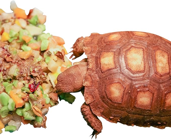 Instant Meal Tortoise Bulk 7.7 OZ