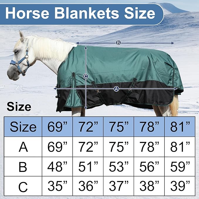 1200D Ripstop Waterproof Breathable Horse Blanket (200g Fill), Medium Weight Warm Winter Turnout, Thermal Protection for Cold & Snow Greenblack 81"