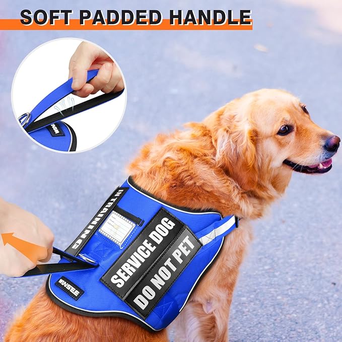 Service Dog Harness and Leash Set, Training Dog Vest with 10 Dog Patches, Emotional Support Therapy Dog Vest Harness for Small Medium Large and Extra Large Dogs(Blue, XS)
