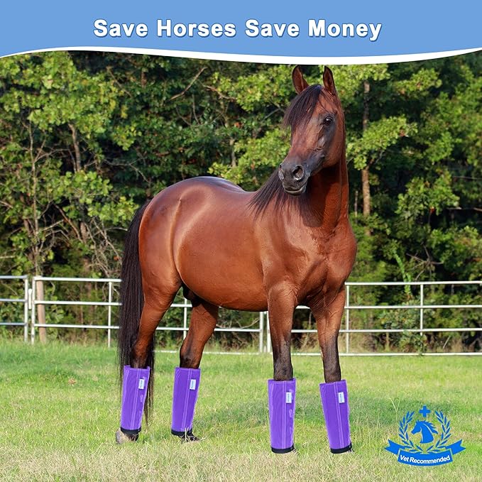 Horse Fly Boots Set of 4, Mesh Boots for Horses, Leggings for Horses, Reduce-Stomping, Breathable Mesh, Loose Fitting, Stay Up Not Sag, No Rub