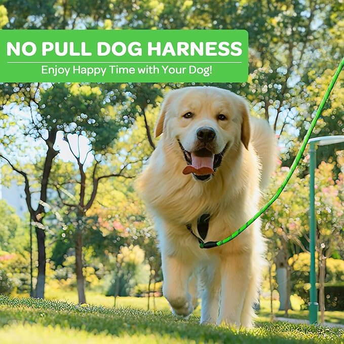 FURRYFECTION Plaid Dog Harness for Medium Dogs, Reflective No Pull Adjustable Pet Vest with Front Clip, Leash, Easy Control Handle and Seat Belt, Green, M