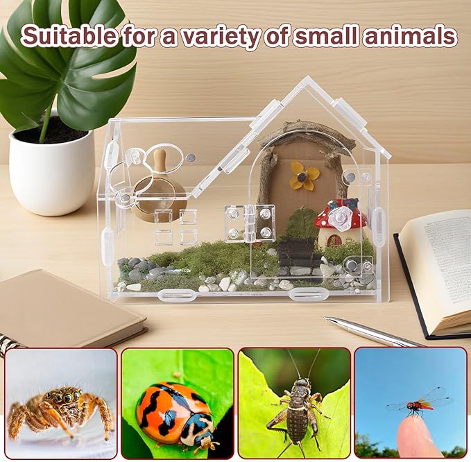 Acrylic Jumping Spider Terrarium with Magnetic Lock – 5.6” Tall Transparent Enclosure for Tarantulas, Hermit Crabs & Small Insects – Secure Ventilated Habitat with Easy Snap Assembly