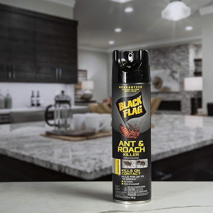 Black Flag Ant & Roach Killer Aerosol, Unscented, 17.5-Ounce, 12-Pack