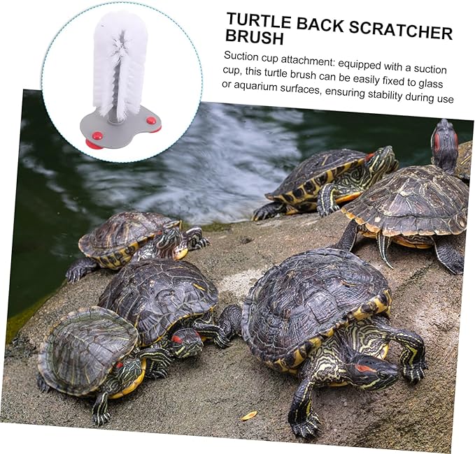 YARNOW Turtle Shell Cleaning Brush Suction Cup Tortoise Scrub Reptile Tank Accessories Pet Turtle Supplies