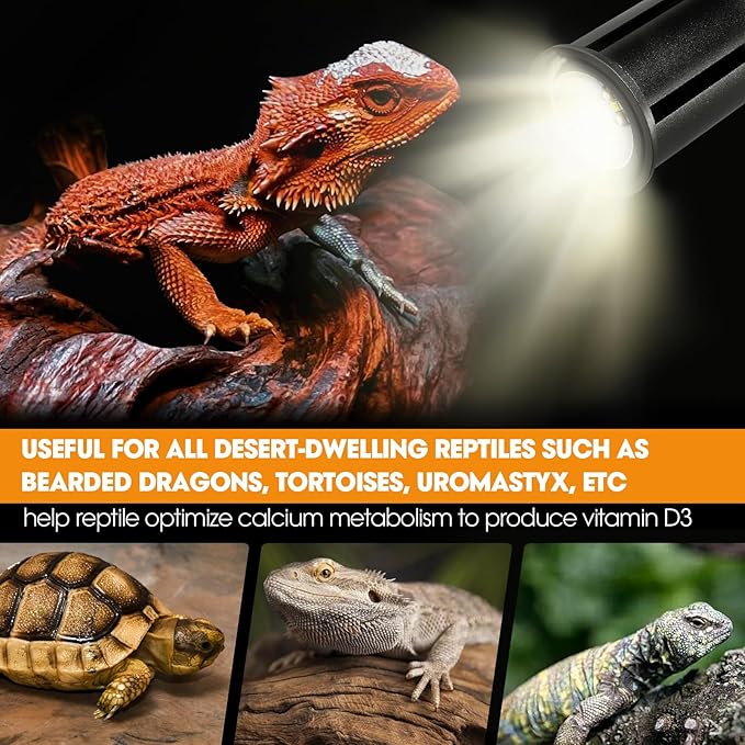 5.5 Inch Reptile Deep Dome Light Fixture UVB Reptile Light