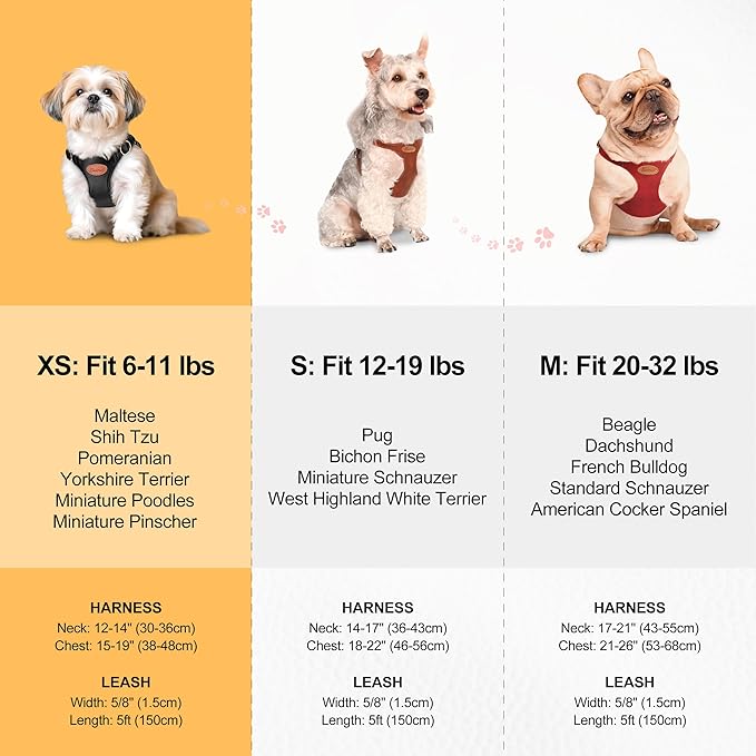 Beirui Stylish PU Leather Dog Harness and Leash Set for Small Dogs, Adjustable Step in Puppy Harness with Breathable Mesh Lining and Durable Metal Buckle for Walking Traveling(Brown,XS)