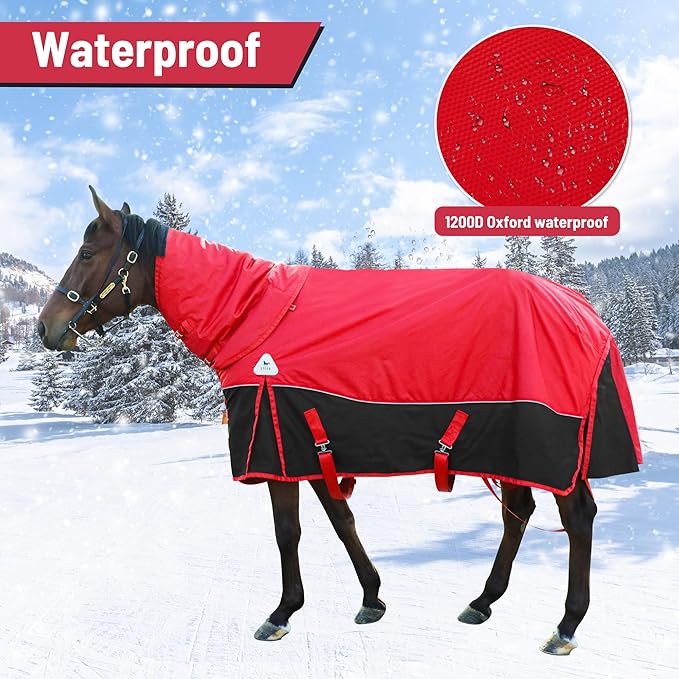 Surcingle Turnout Blankets for Horse,1680D Winter Water-Resistant HorseTrunout Sheets, 300g Warm Polyester Filling Liner, Medium Weight with Turnout Neck Cover Detachable (US 81 in/EU 155 cm)