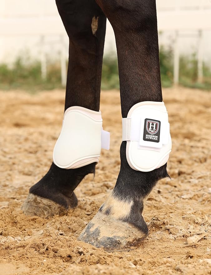 Harrison Howard Horse Tendon Boots Open Front/Fetlock Boot for Horse Protective Boots for Jumping, Trail Riding Set of 4