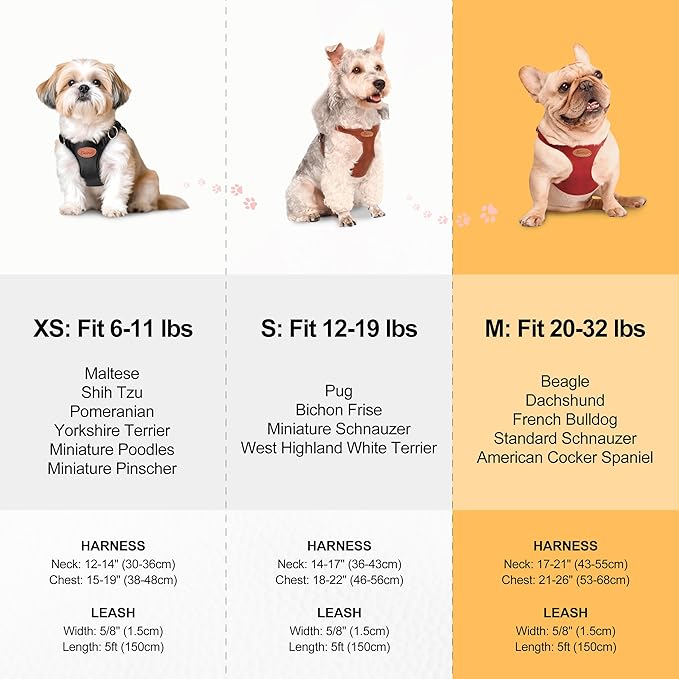 Beirui Stylish PU Leather Dog Harness and Leash Set for Small Dogs, Adjustable Step in Dog Vest Harness with Breathable Mesh Lining and Durable Metal Buckle for Walking Traveling(Green,M)