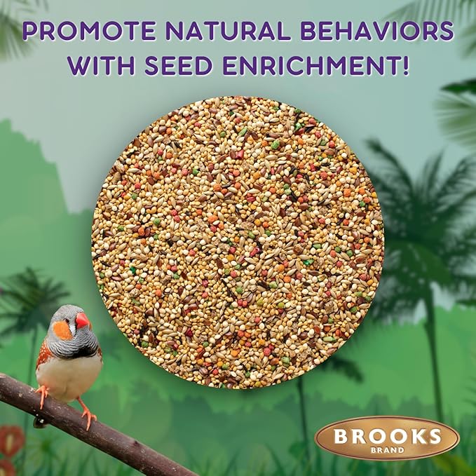 Grains Plus Finch Blend Bird Food, Nyjer Seeds, Finches Bird Seed Mix, Gold Finch Niger Seeds for Birds, Finches Food for Indoor Birds, 25 lbs