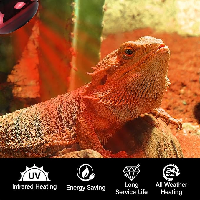 2-PCS Reptile Heating Light Bulb, Calcium Supplement Heating Light for Amphibians, Suitable for Sun Lamps for Reptiles, Maned Lions, Lizards, Turtles, and Snakes - 75W