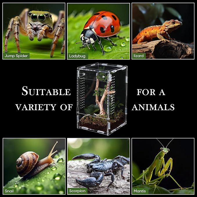 Jumping Spider Enclosure, Jumping Spider Accessories, Transparent Acrylic Amphibian Terrarium, Animal Box Habitat for Spiders, Arthropods, Amphibians, Etc. (7.88 * 4.72 * 4.72in)