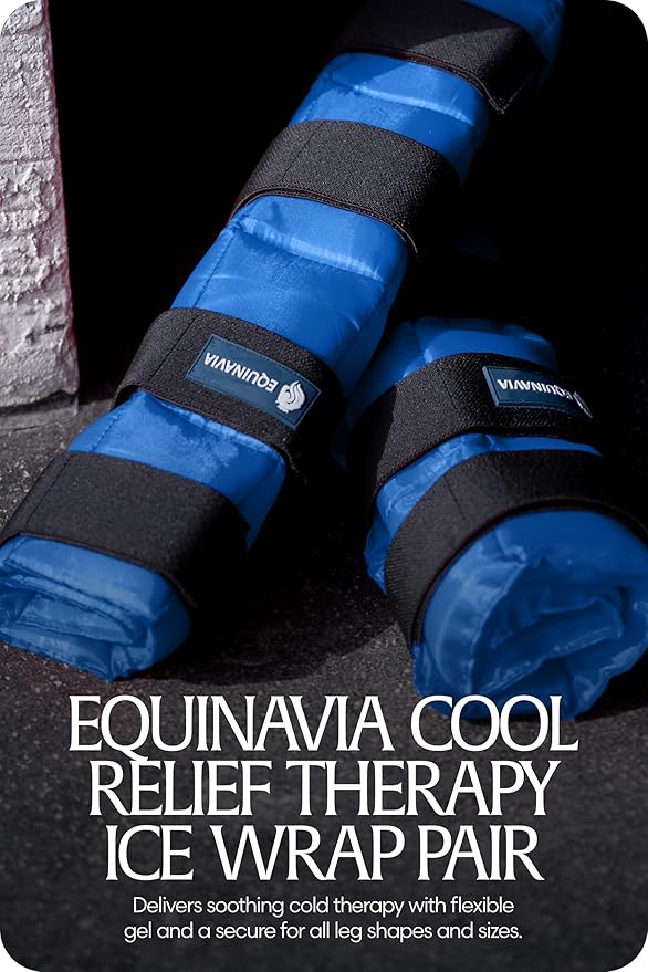 Equinavia Cool Relief Therapy Ice Boots Leg Wraps Pair for Horses, Gel Pack with Adjustable Straps | 16.5" x 15.5" with Storage Bag - Royal Blue - Pair - One Size