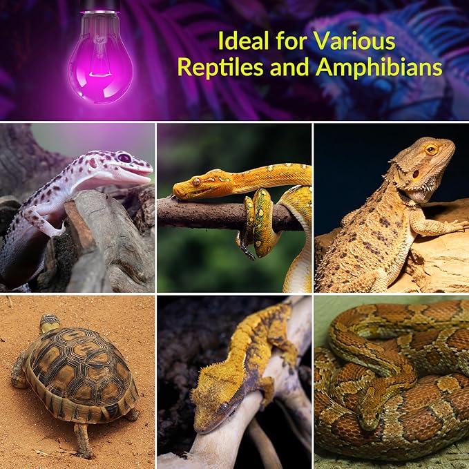 Lustaled Reptile Heat Lamp Bulbs-50W Reptile Night Heat Bulb E26 Terrarium Heat Lamp Simulate Natural Moon Purple Light for Snake Bearded Dragon Leopard Gecko Lizard Chameleon Tortoise -2Pack