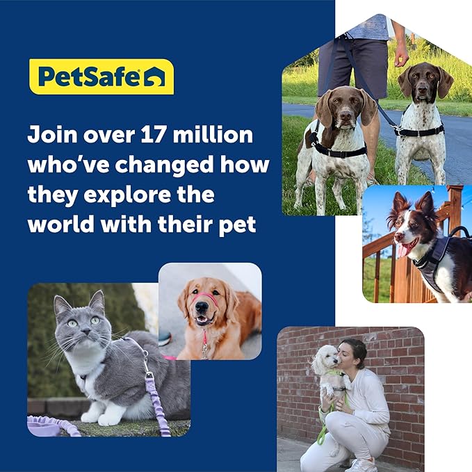 PetSafe Easy Walk No-Pull Dog Harness - The Ultimate Harness to Help Stop Pulling - Take Control & Teach Better Leash Manners - Helps Prevent Pets Pulling on Walks, Medium/Large, Raspberry/Gray