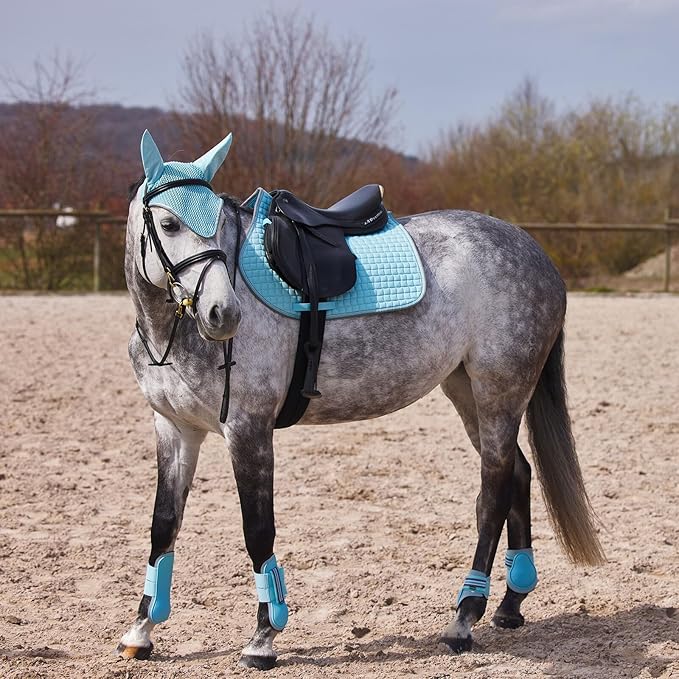 HORZE Adepto Open Front Tendon Boots | Durable Shell with Neoprene Lining - Canal Blue - Pony